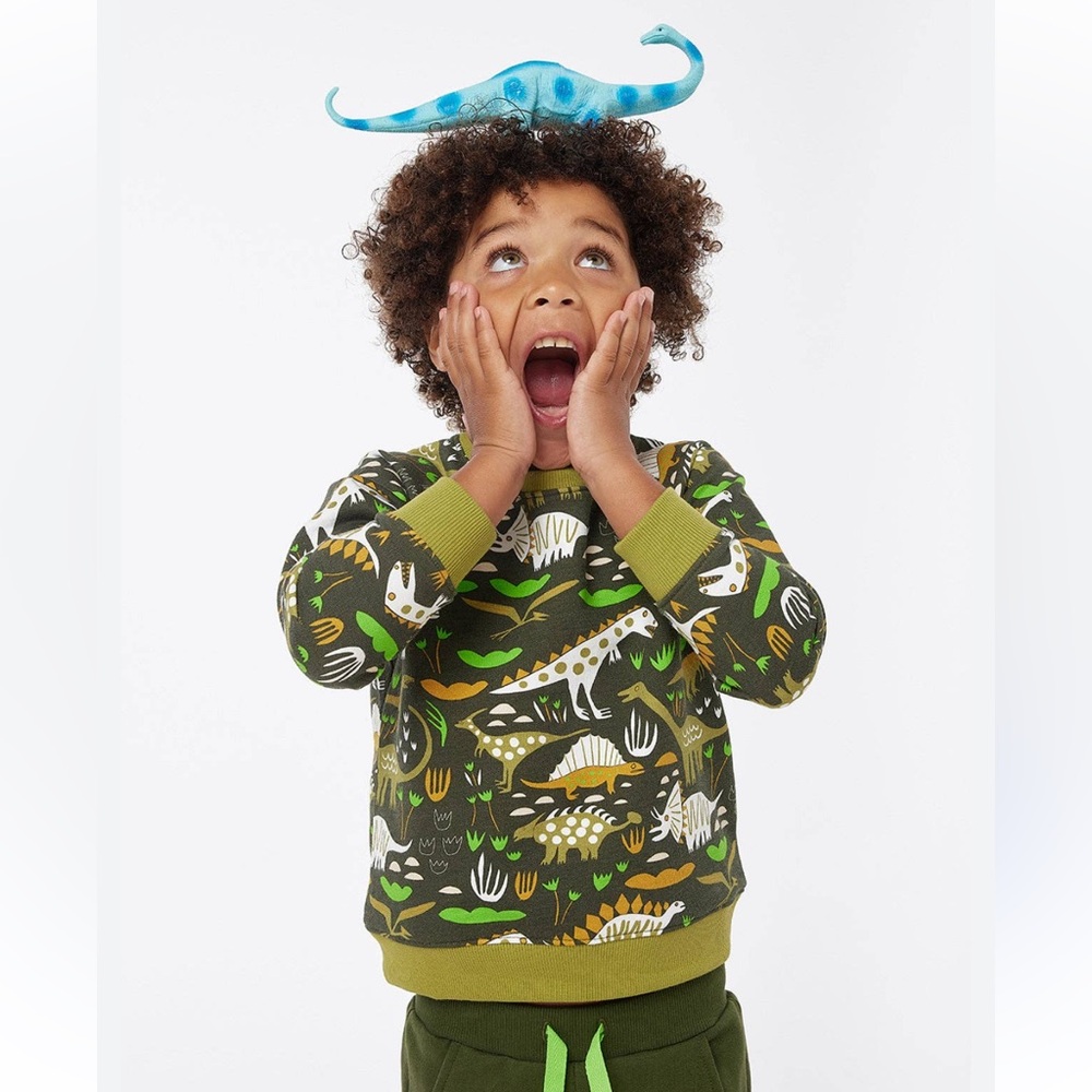Piccolina Dinosaurs Print Swea Raglan Sleeve 100% Cotton Size 2T